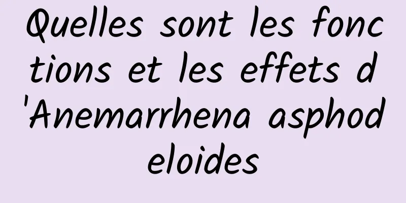 Quelles sont les fonctions et les effets d'Anemarrhena asphodeloides