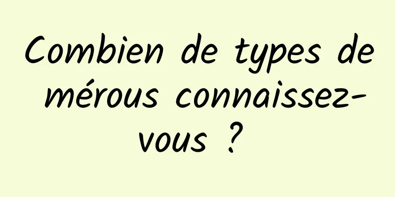 Combien de types de mérous connaissez-vous ? 