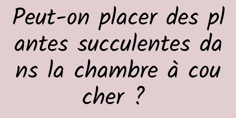 Peut-on placer des plantes succulentes dans la chambre à coucher ? 