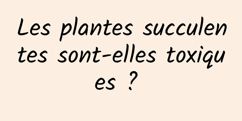 Les plantes succulentes sont-elles toxiques ? 