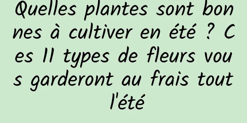 Quelles plantes sont bonnes à cultiver en été ? Ces 11 types de fleurs vous garderont au frais tout l'été