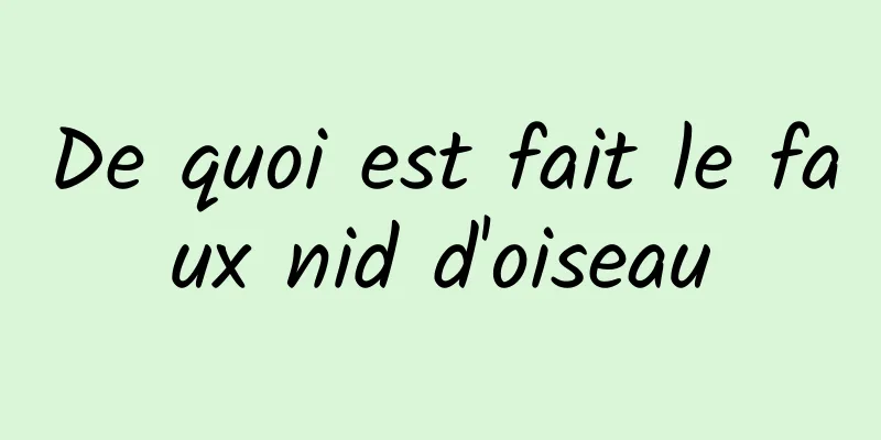 De quoi est fait le faux nid d'oiseau