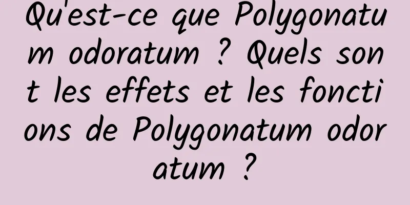 Qu'est-ce que Polygonatum odoratum ? Quels sont les effets et les fonctions de Polygonatum odoratum ?