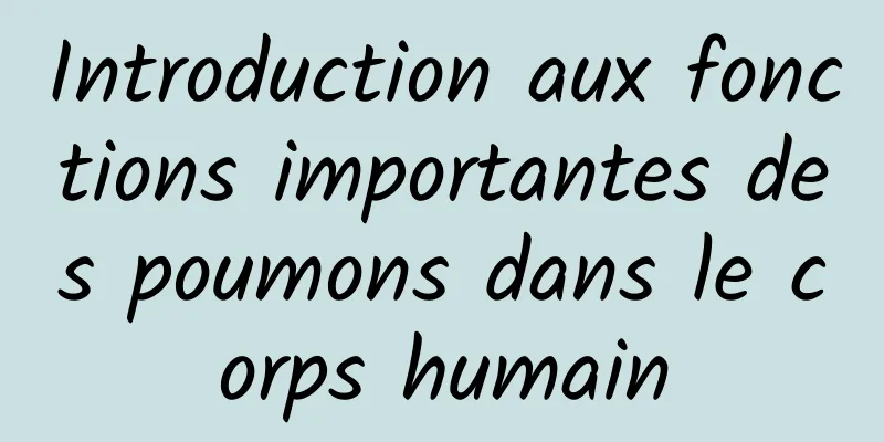 Introduction aux fonctions importantes des poumons dans le corps humain