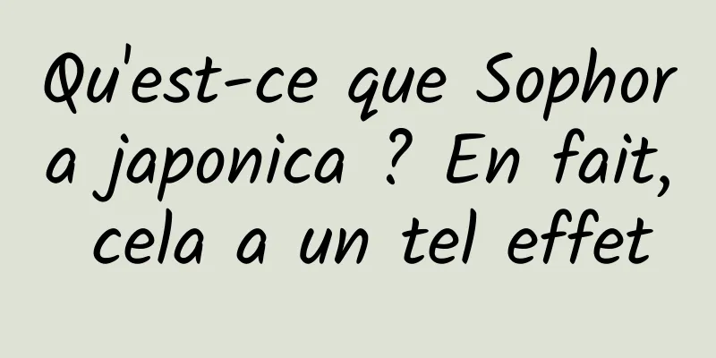 Qu'est-ce que Sophora japonica ? En fait, cela a un tel effet