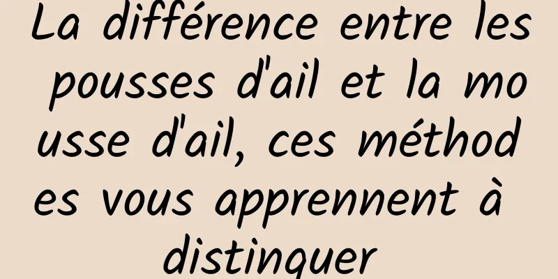 La différence entre les pousses d'ail et la mousse d'ail, ces méthodes vous apprennent à distinguer 