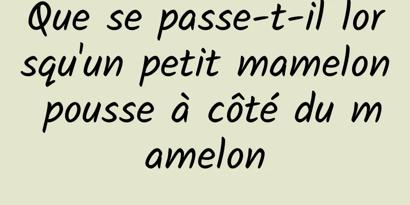 Que se passe-t-il lorsqu'un petit mamelon pousse à côté du mamelon