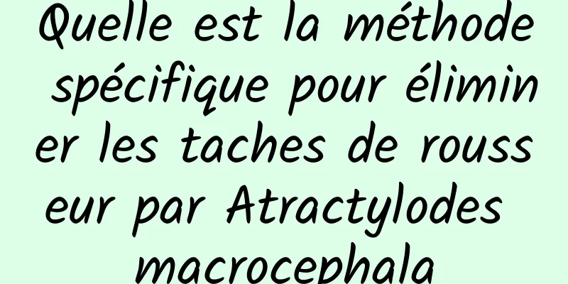 Quelle est la méthode spécifique pour éliminer les taches de rousseur par Atractylodes macrocephala