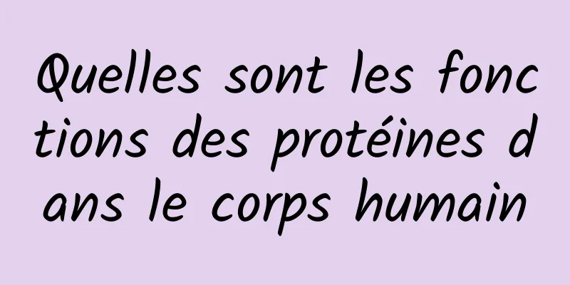 Quelles sont les fonctions des protéines dans le corps humain