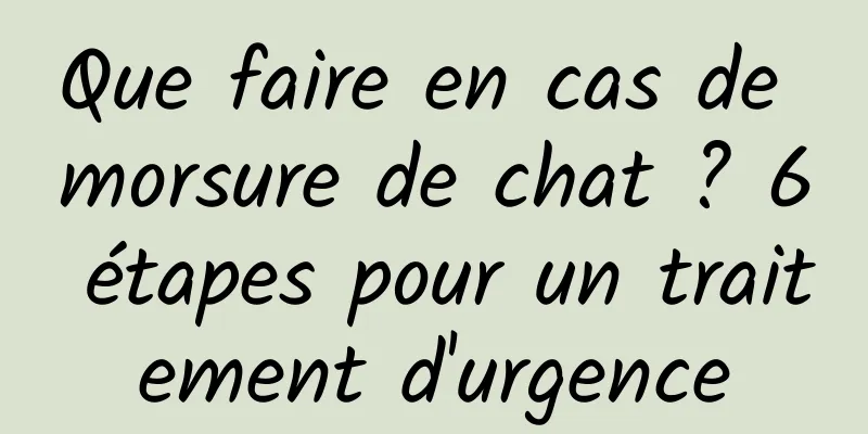 Que faire en cas de morsure de chat ? 6 étapes pour un traitement d'urgence