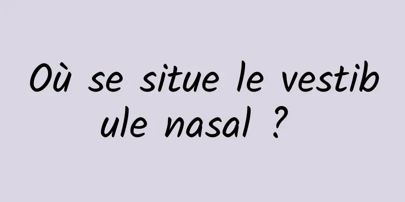 Où se situe le vestibule nasal ? 