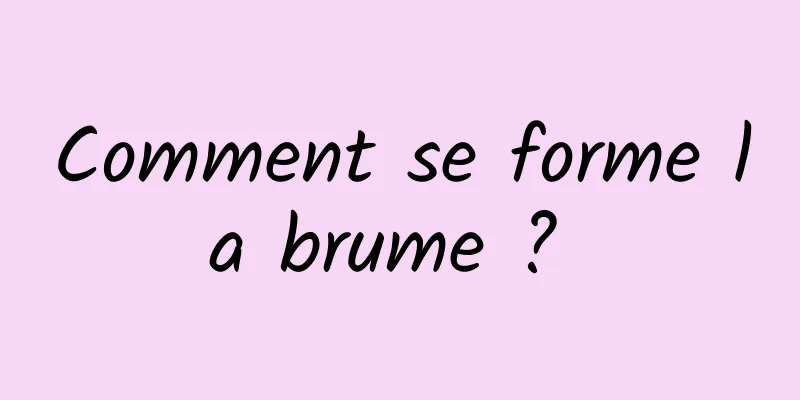 Comment se forme la brume ? 