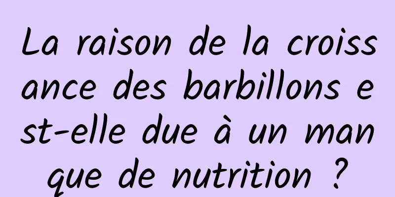 La raison de la croissance des barbillons est-elle due à un manque de nutrition ?