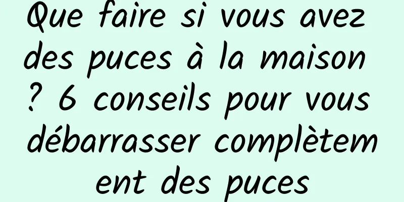 Que faire si vous avez des puces à la maison ? 6 conseils pour vous débarrasser complètement des puces