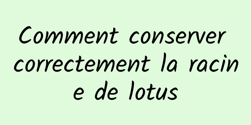 Comment conserver correctement la racine de lotus