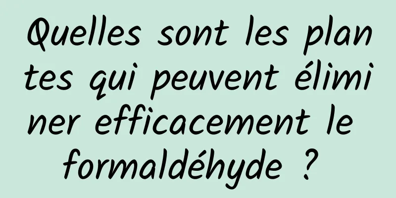 Quelles sont les plantes qui peuvent éliminer efficacement le formaldéhyde ? 