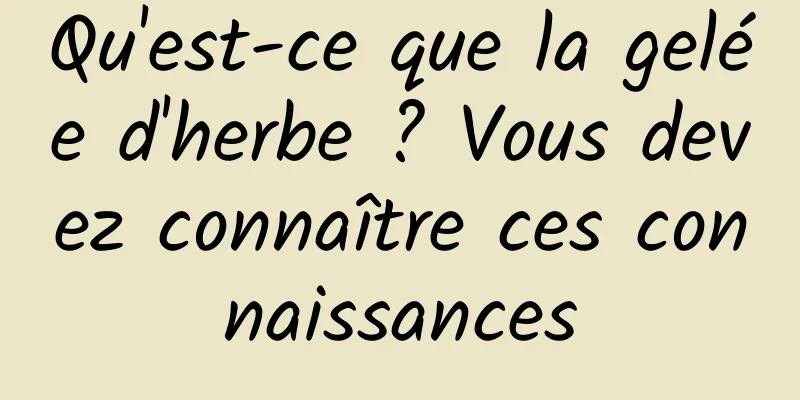 Qu'est-ce que la gelée d'herbe ? Vous devez connaître ces connaissances