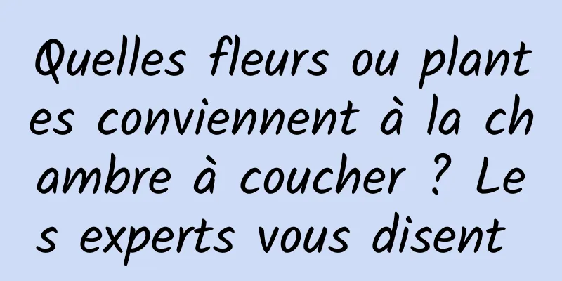 Quelles fleurs ou plantes conviennent à la chambre à coucher ? Les experts vous disent 