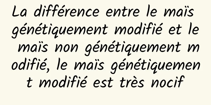 La différence entre le maïs génétiquement modifié et le maïs non génétiquement modifié, le maïs génétiquement modifié est très nocif