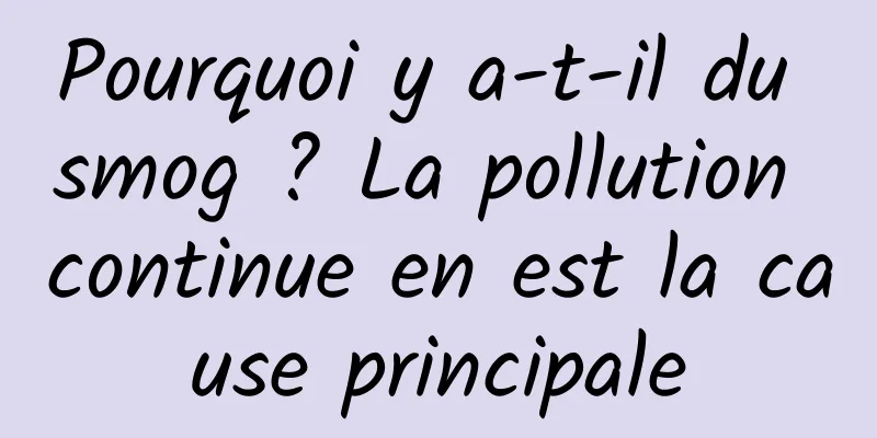 Pourquoi y a-t-il du smog ? La pollution continue en est la cause principale