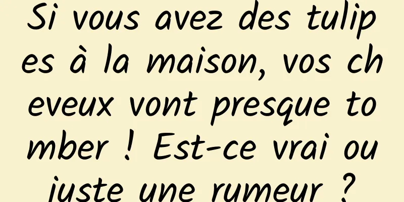 Si vous avez des tulipes à la maison, vos cheveux vont presque tomber ! Est-ce vrai ou juste une rumeur ? 