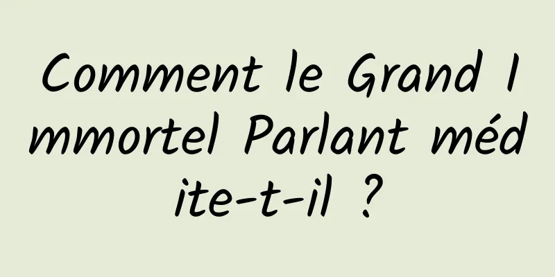 Comment le Grand Immortel Parlant médite-t-il ?