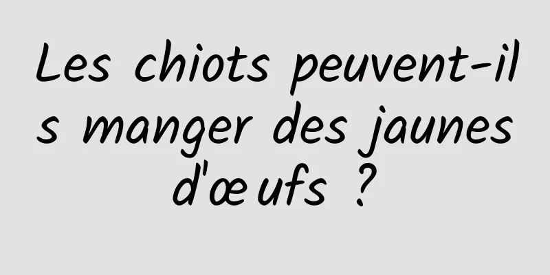 Les chiots peuvent-ils manger des jaunes d'œufs ? 