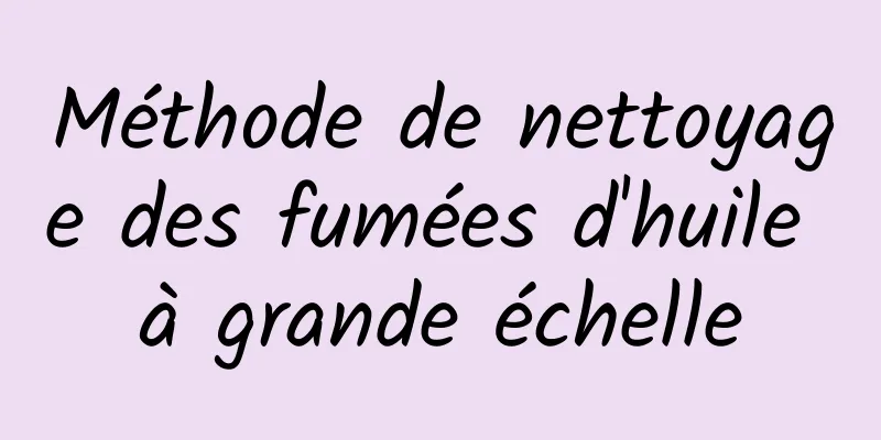 Méthode de nettoyage des fumées d'huile à grande échelle