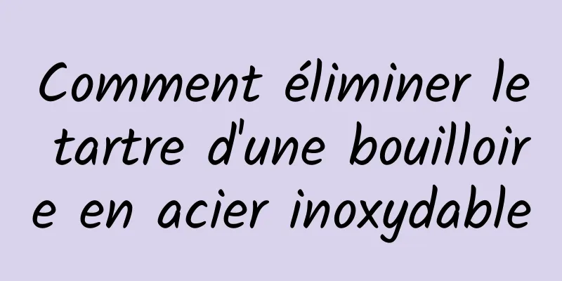 Comment éliminer le tartre d'une bouilloire en acier inoxydable