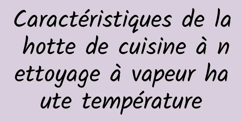 Caractéristiques de la hotte de cuisine à nettoyage à vapeur haute température