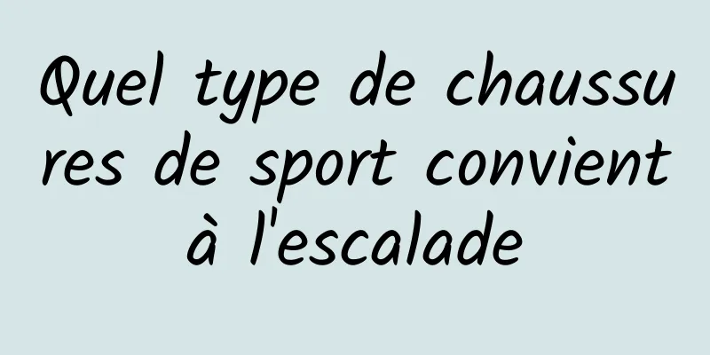 Quel type de chaussures de sport convient à l'escalade 