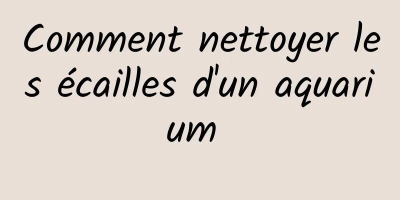 Comment nettoyer les écailles d'un aquarium 