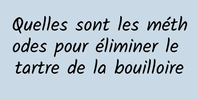 Quelles sont les méthodes pour éliminer le tartre de la bouilloire