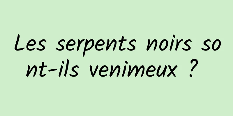 Les serpents noirs sont-ils venimeux ? 