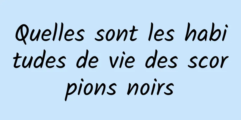 Quelles sont les habitudes de vie des scorpions noirs