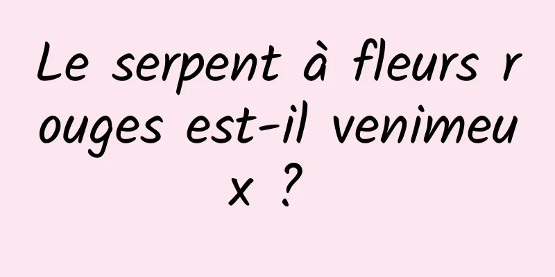 Le serpent à fleurs rouges est-il venimeux ? 