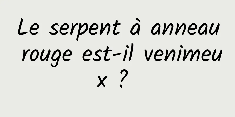 Le serpent à anneau rouge est-il venimeux ? 