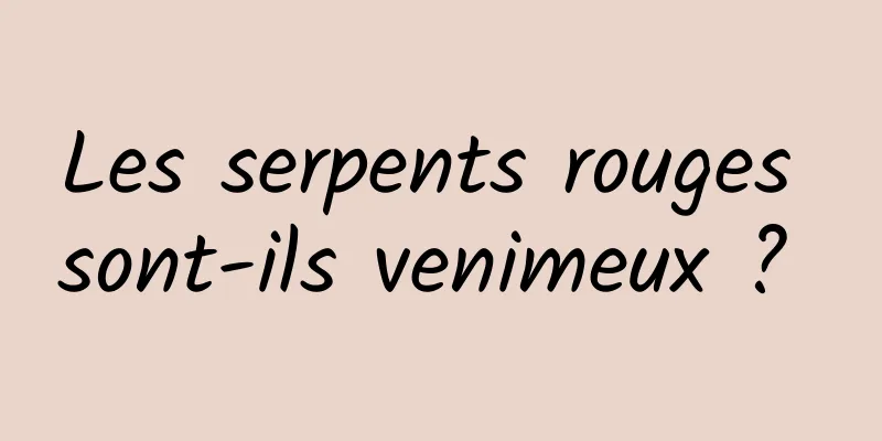 Les serpents rouges sont-ils venimeux ? 