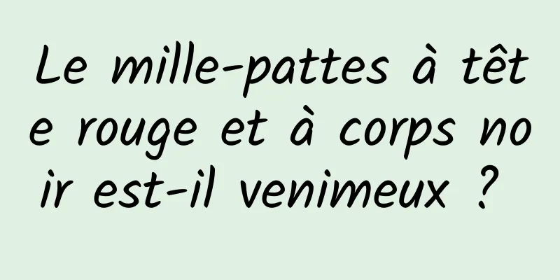 Le mille-pattes à tête rouge et à corps noir est-il venimeux ? 