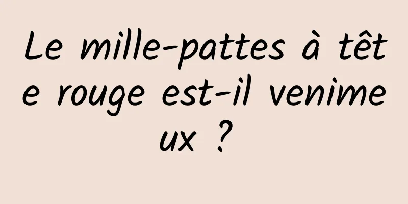 Le mille-pattes à tête rouge est-il venimeux ? 