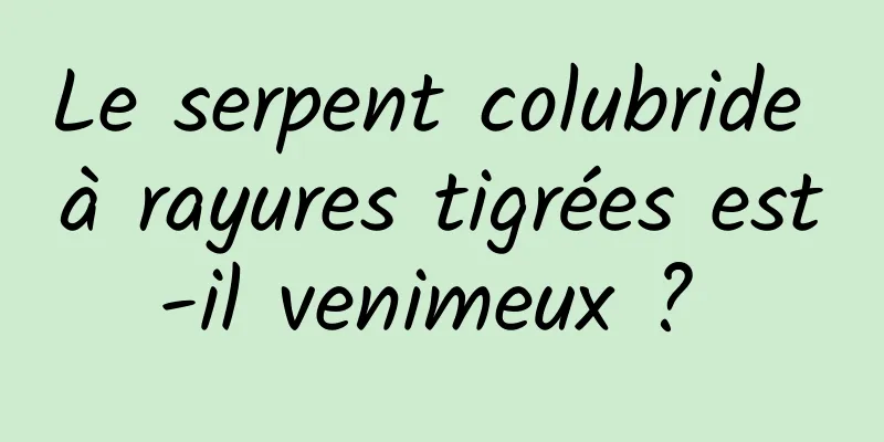 Le serpent colubride à rayures tigrées est-il venimeux ? 