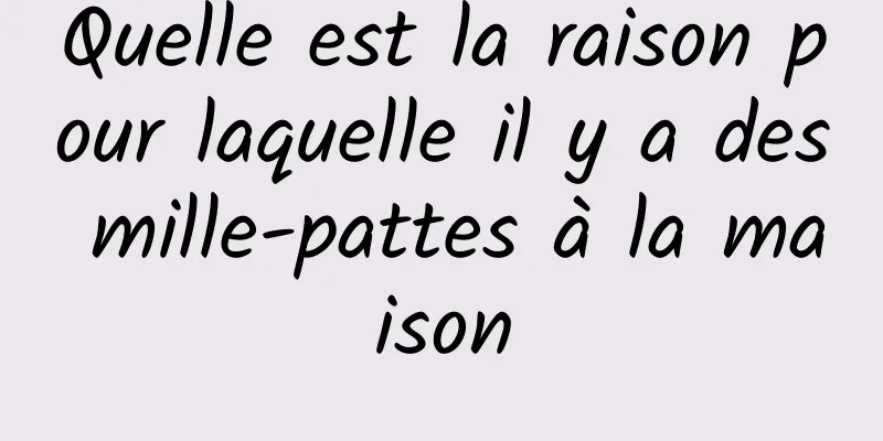 Quelle est la raison pour laquelle il y a des mille-pattes à la maison