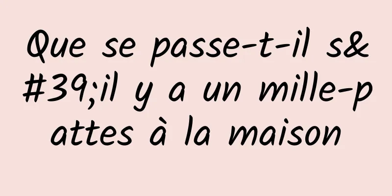 Que se passe-t-il s'il y a un mille-pattes à la maison