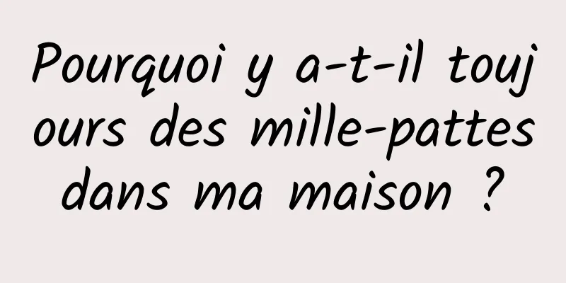 Pourquoi y a-t-il toujours des mille-pattes dans ma maison ? 