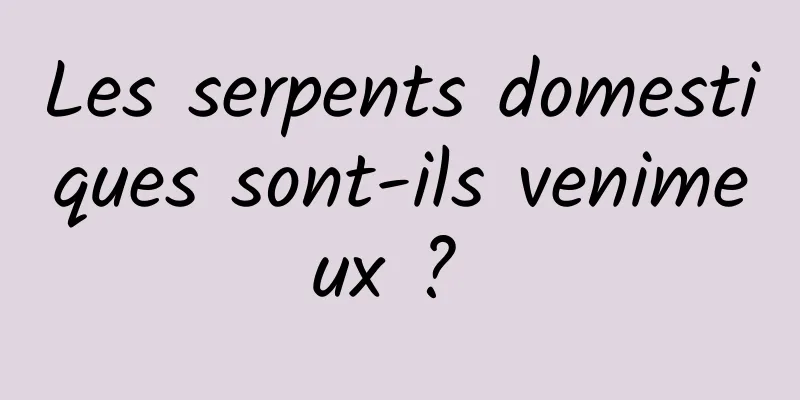 Les serpents domestiques sont-ils venimeux ? 