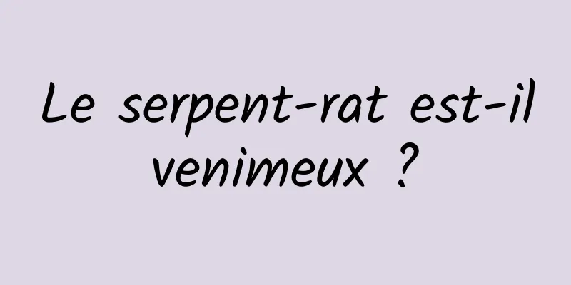 Le serpent-rat est-il venimeux ? 