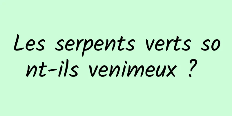 Les serpents verts sont-ils venimeux ? 