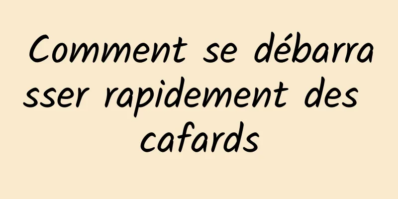 Comment se débarrasser rapidement des cafards