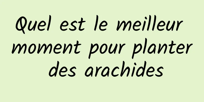 Quel est le meilleur moment pour planter des arachides