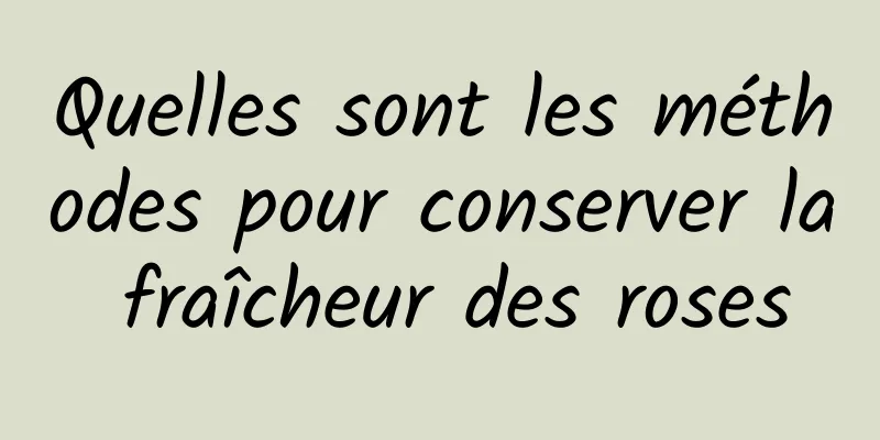 Quelles sont les méthodes pour conserver la fraîcheur des roses